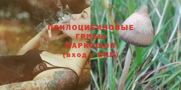 а пвп мука Медвежьегорск